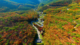 피쳐자연오진영03.jpg