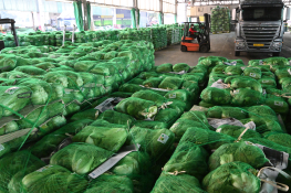 9월뉴스윤웅 (3).jpg