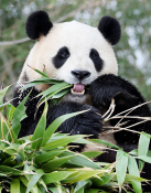 2월 뉴스 박지혜 (15).jpg