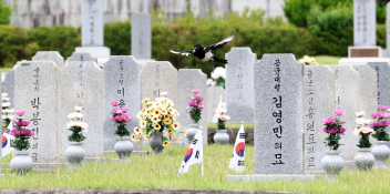 6월뉴스김인철08.jpg
