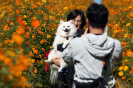 피쳐자연홍효식02.jpg