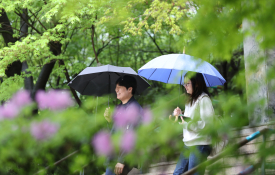 피처생활 최지환(9).JPG