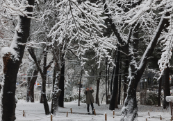 피쳐생활 송원영02.jpg