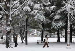 피쳐생활 송원영01.jpg