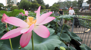 피처 자연 최지환 (4).JPG