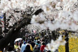 피처 자연 최지환 (5).JPG