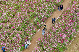 피처 자연 최지환 (1).JPG
