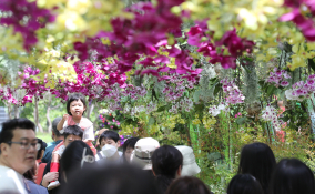 피처 자연 최지환 (3).JPG