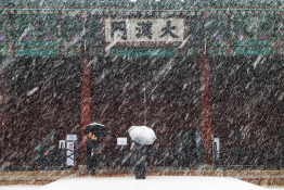 11월뉴스권우성12.jpg