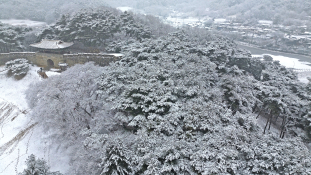 피처자연김용수001.jpg