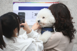 4월_조선영상비전_장련성 (6).jpg