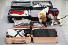 8월_조선영상비전_장련성 (4).jpg