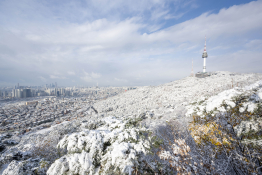 MIS_9250 복사.jpg