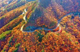 지역뉴스영남정종회 (7).jpg